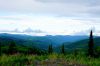 Filename=DSC09021.JPG
Filesize=200KB
Dimensions=800x532
Date added=Aug 11, 2013 DSC09021.JPG