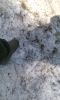 Filename=IMG_20170506_151405.jpg
Filesize=386KB
Dimensions=768x1280
Date added=May 11, 2017 IMG_20170506_151405.jpg