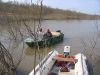 Filename=wis13.jpg
Filesize=74KB
Dimensions=800x600
Date added=May 10, 2009 wis13.jpg