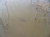 Filename=wis15.jpg
Filesize=50KB
Dimensions=800x600
Date added=May 10, 2009 wis15.jpg