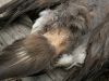 Filename=CDC1.JPG
Filesize=181KB
Dimensions=640x480
Date added=May 06, 2011 CDC1.JPG